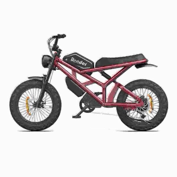 48-V-E-Bike-Fabrik