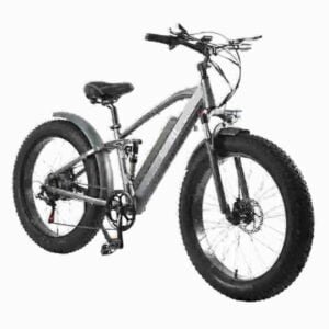 Beste Fabrik für elektrische Fatbikes