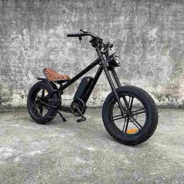 Coco Electric Bike-Fabrik