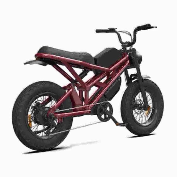 E-Bike 750w Fabrik