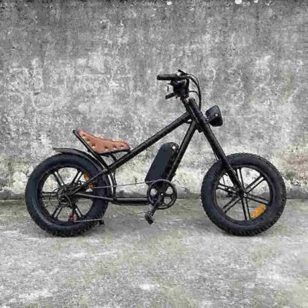 Ebike Fat Tire Bike Fabrik