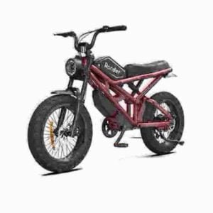 Fabrik für elektrische Dirtbikes für Erwachsene