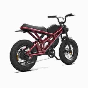 Elektrofahrräder Fabrik für E-Bike-Fahrräder