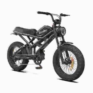 Elektrisches Fatbike zum Verkauf ab Werk