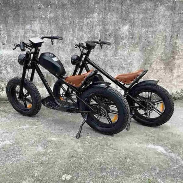 Fabrik für elektrische Fat Tire Bikes