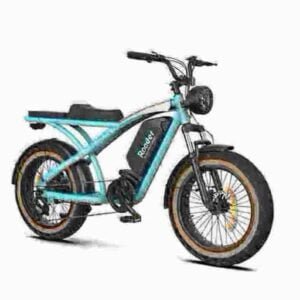 Fat Electric Bike Preisfabrik