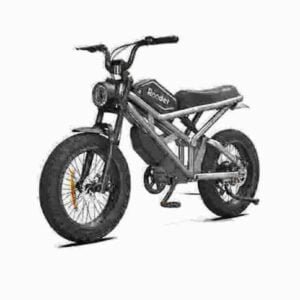 Fat Tire Elektrofahrrad Off-Road-Fabrik