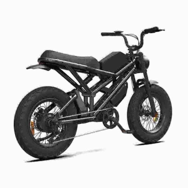 Fettreifen-E-Bike-Fabrik