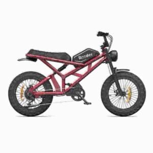 Leichteste faltbare E-Bike-Fabrik