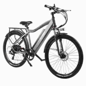 Leistungsstärkste Fat Tire E-Bike-Fabrik