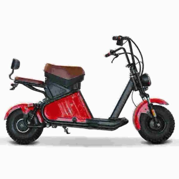 Rooder Citycoco Scooter-Fabrik