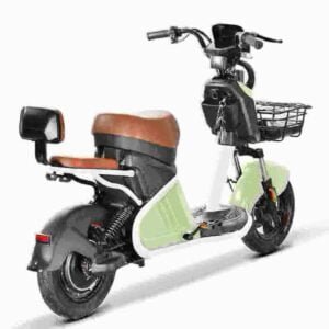 Rooder Citycoco E-Scooter-Fabrik