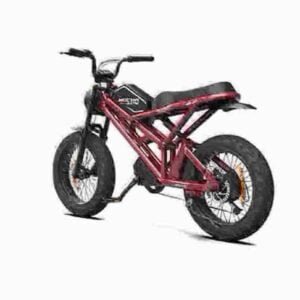 Die Fat E Bike-Fabrik