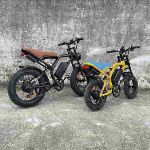 Bestbewertete Fabrik für elektrische Dirtbikes