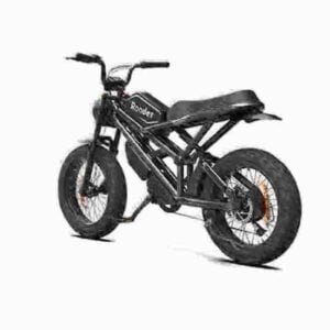 Bestbewertete Fabrik für Fat Tire E-Bikes