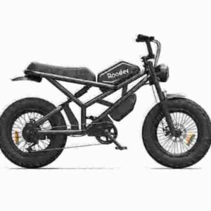 Großhandelsfabrik für elektrische Fatbikes