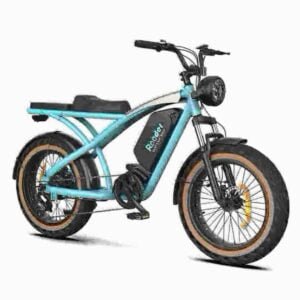 beste All-Terrain-Elektrofahrradfabrik