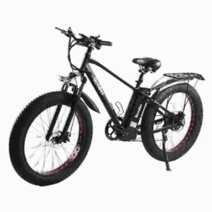 E-Bike-Preis 3 Räder Fabrik